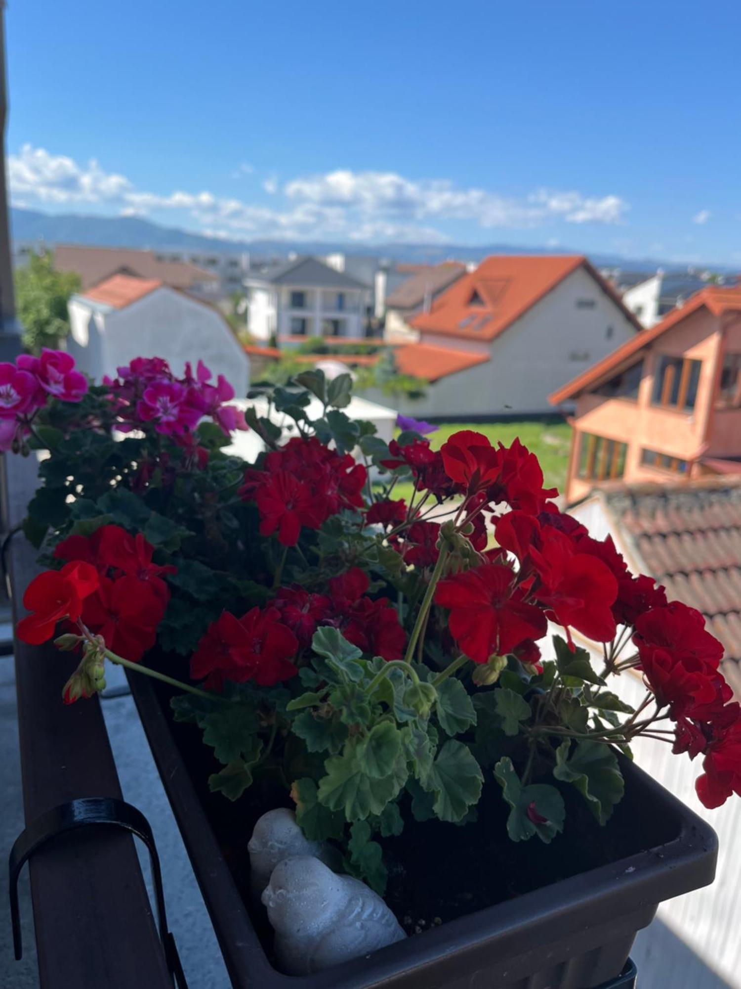 Apartament Acasa Sibiu Extérieur photo